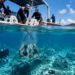 Malaysia Partners with Southeast Asian Neighbors in Embracing Nature-Based Solutions for Coastal Protection