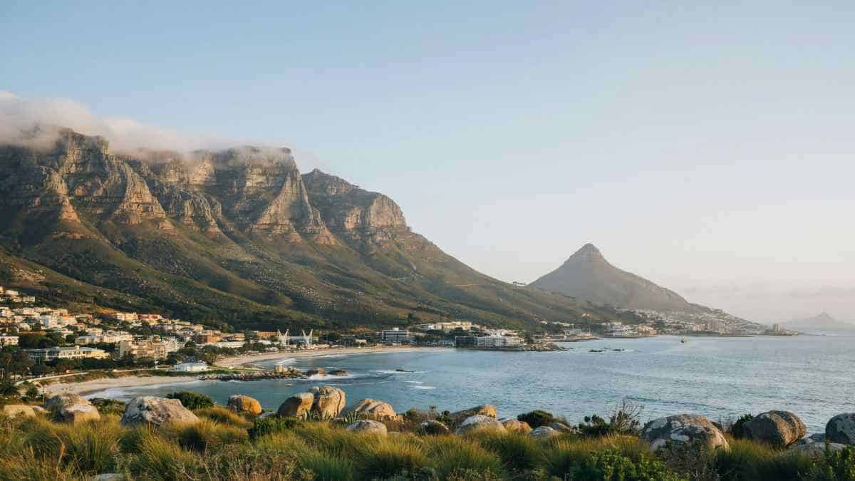 Cape Town Boosts Wildlife Tourism with Strong Breeding Season at Boulders Penguin Colony