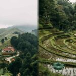 Discover Wellness in Asia: Da Lat and Ubud Take Center Stage