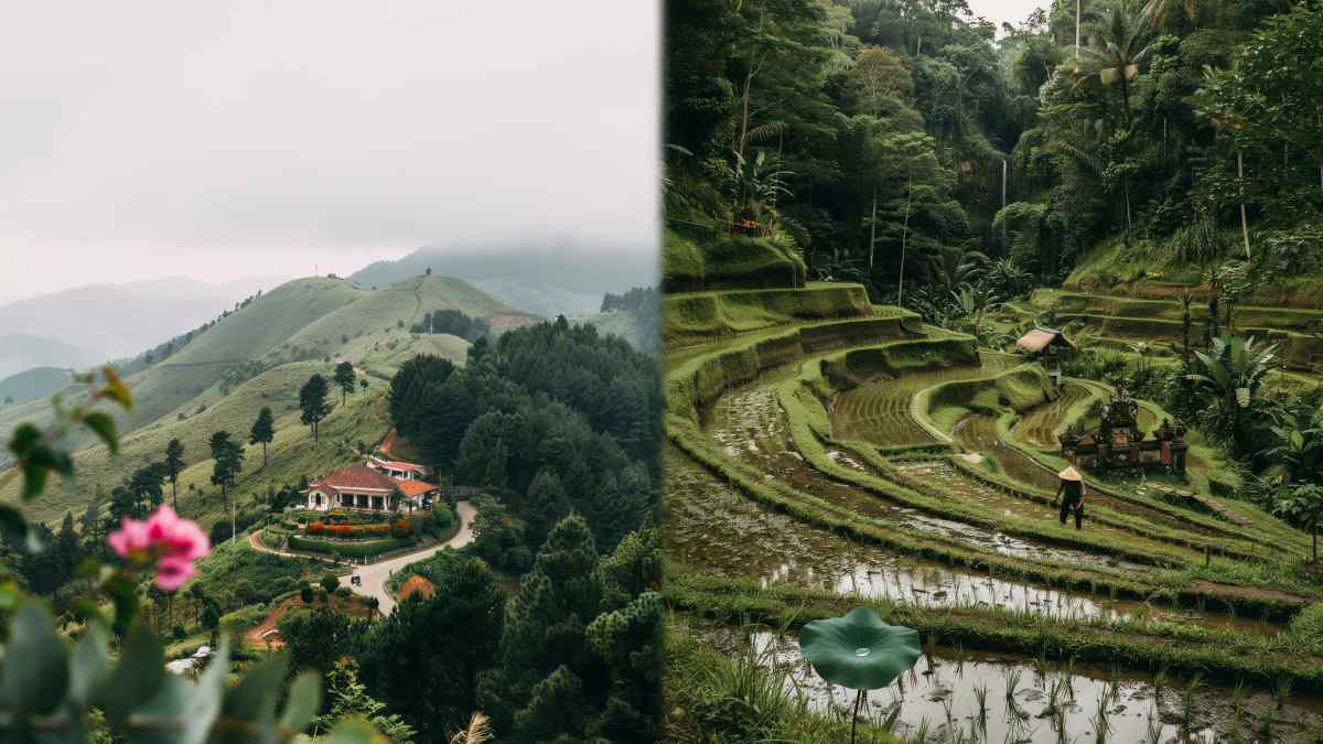 Discover Wellness in Asia: Da Lat and Ubud Take Center Stage