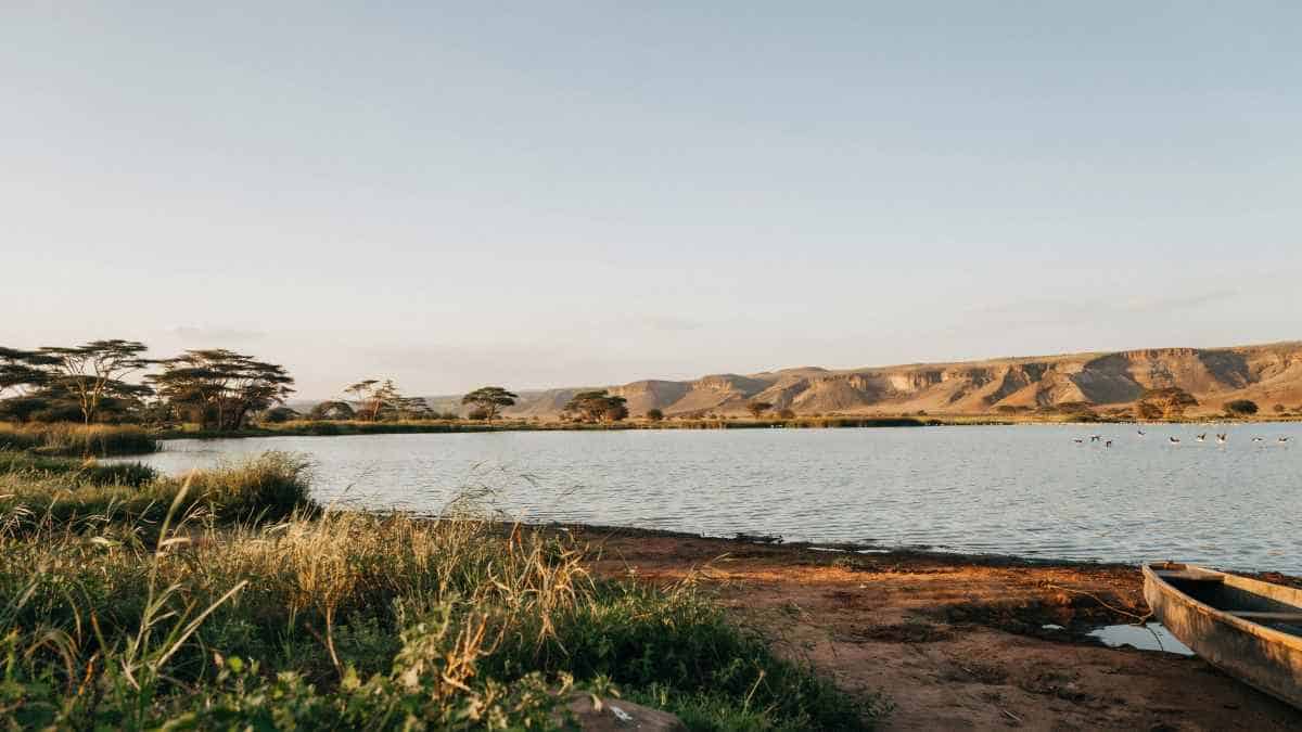 Kenya’s Cultural Revolution: Festivals at the Heart of Tourism Growth by 2027