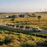 Tanzania Joins Forces with Kenya, Ghana, and Senegal to Elevate African Tourism: A Potential New Success Story