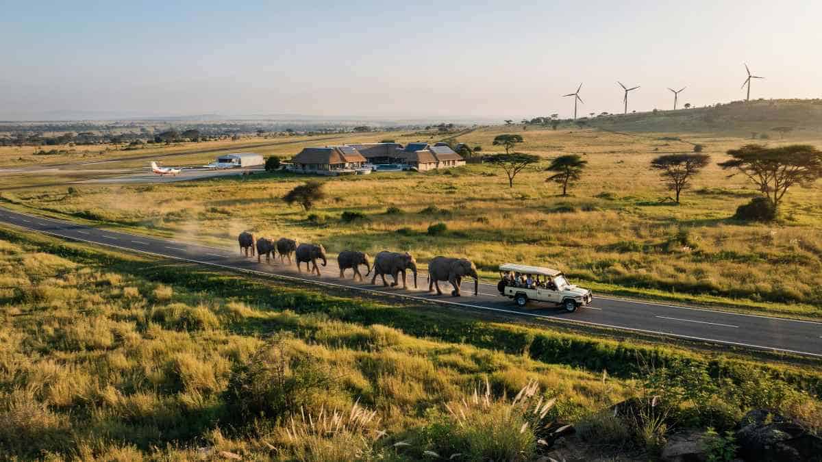 Tanzania Joins Forces with Kenya, Ghana, and Senegal to Elevate African Tourism: A Potential New Success Story