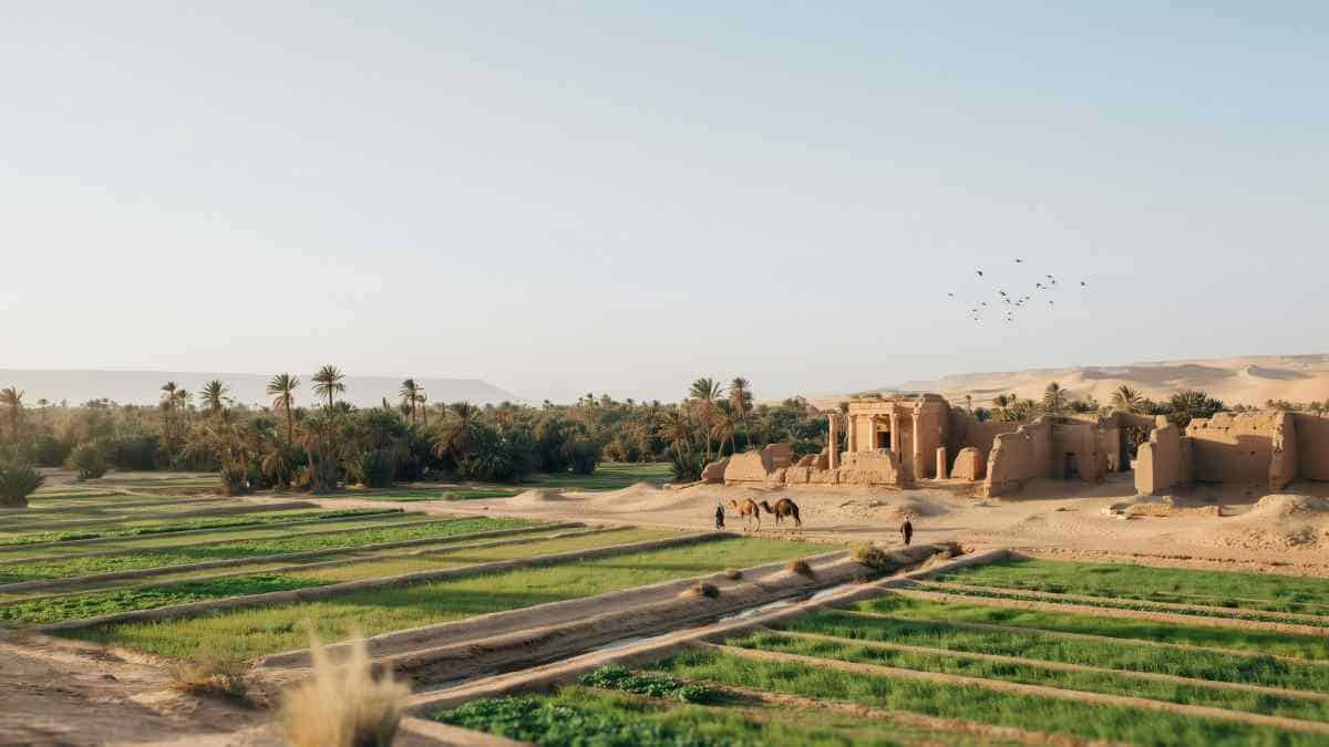 Discovering Ancient Tourism: Recent Archaeological Finds in Dakhla Oasis and Marina El-Alamein, Egypt