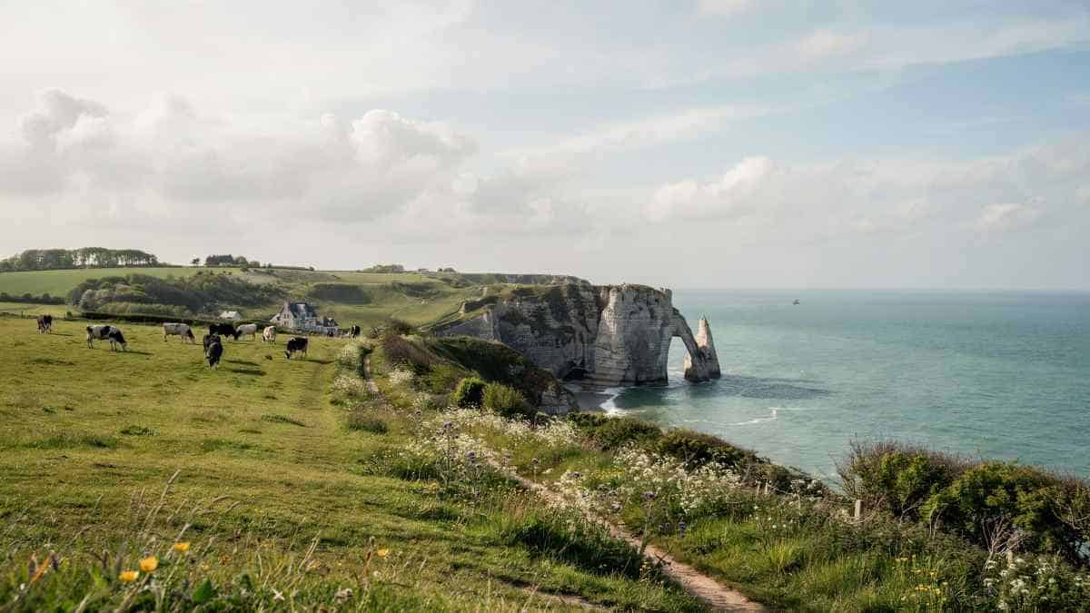 Discover the Rise of Micro-Vacations in France: Exploring Normandy, the Loire Valley, and Beyond