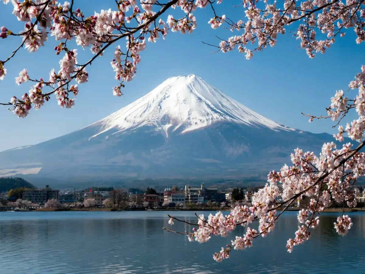 Japan’s Travel Market Faces Challenges Amidst Shifting Tourist Dynamics
