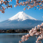 Japan’s Shopping Revolution: Tax-Free Overhaul to Redefine Tourist Purchases by 2026