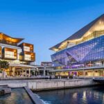 Exploring AI Innovations at the NDIS Summit in Sydney: A Journey into the Future of Disability Services