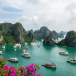 Vietnam’s Tourism Surge: France, Germany, and India Join the Wave