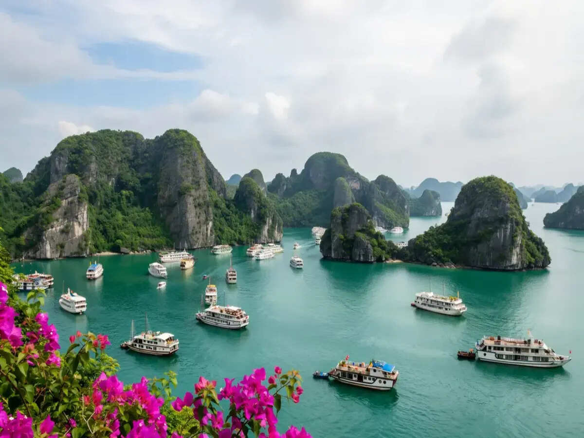Vietnam’s Tourism Surge: France, Germany, and India Join the Wave