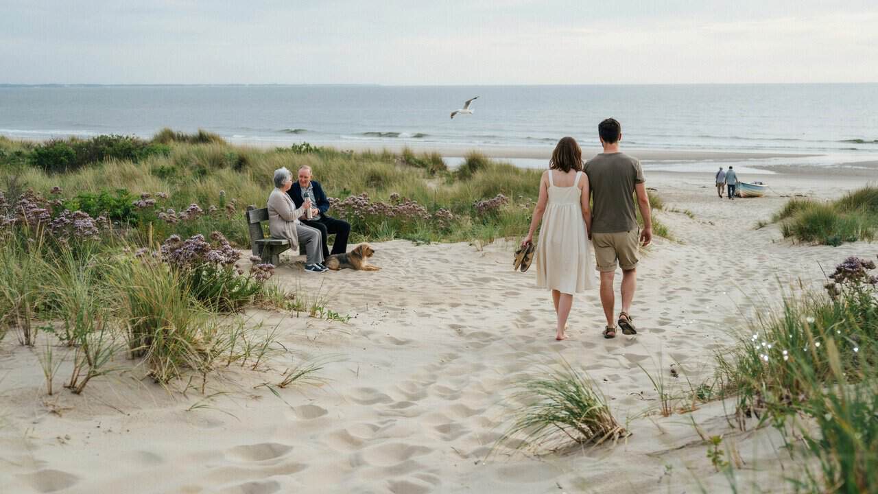 Explore Cape Cod’s Hidden Gems: Tranquil Beaches and Authentic Experiences Await