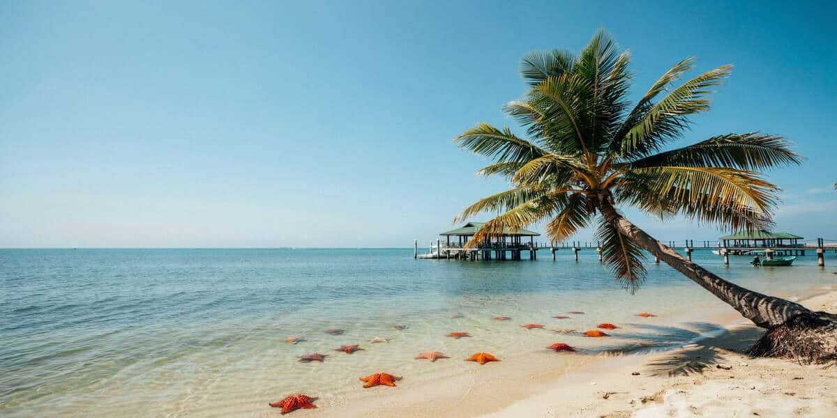 Vietnam’s Tourism Boom: Russian Visits Quadruple, Paving the Way for 1.5 Million Arrivals in 2026