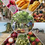 Experience the Joy of Vietnam’s Lam Son Fruit Festival: A Journey into Tropical Paradise
