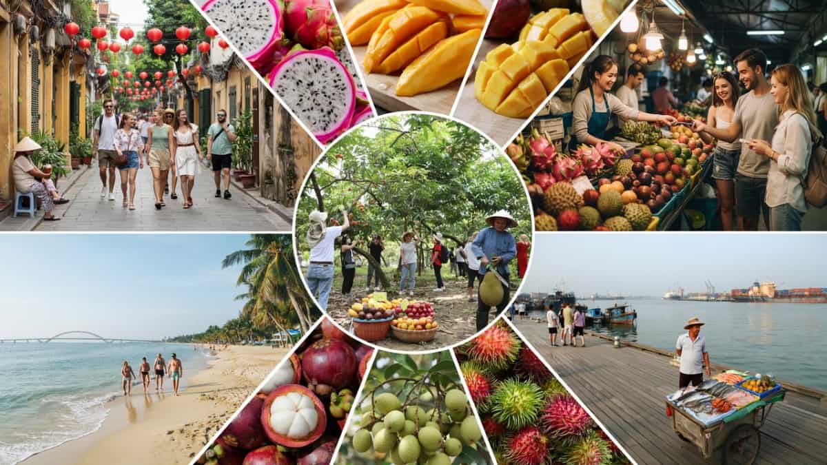 Experience the Joy of Vietnam’s Lam Son Fruit Festival: A Journey into Tropical Paradise