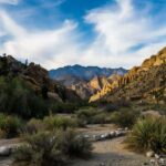 Las Vegas Takes Over the Global Tourism Spotlight as July Becomes the Most Powerful Crown Month of Travel Fueled by Fourth of July Mega Celebrations, Massive Hotel Demand Waves, Entertainment Industry Boom and Unstoppable Growth in Short-Haul Domestic Tourism Flows Across US