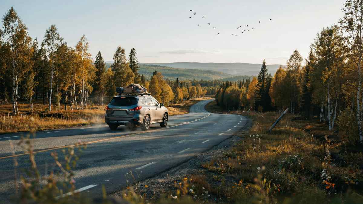 Fuel Shortages Challenge Summer Road Trips in Russia: A Look at the Impact on Domestic Travel