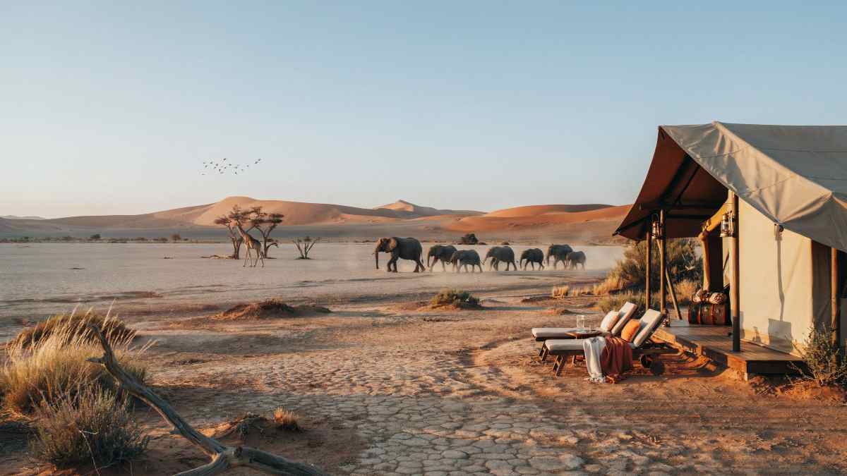 Experience Luxurious Safari Adventures at Mokuti Etosha in Namibia