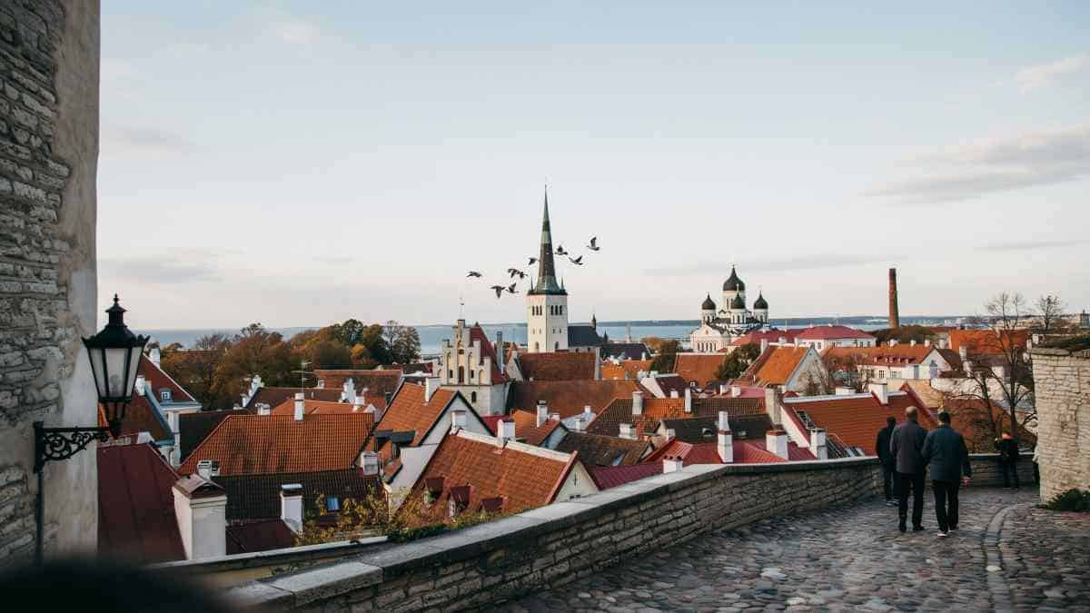 Year-Round Travel Connectivity Between Tallinn and Vienna: airBaltic’s Direct Flights to Continue