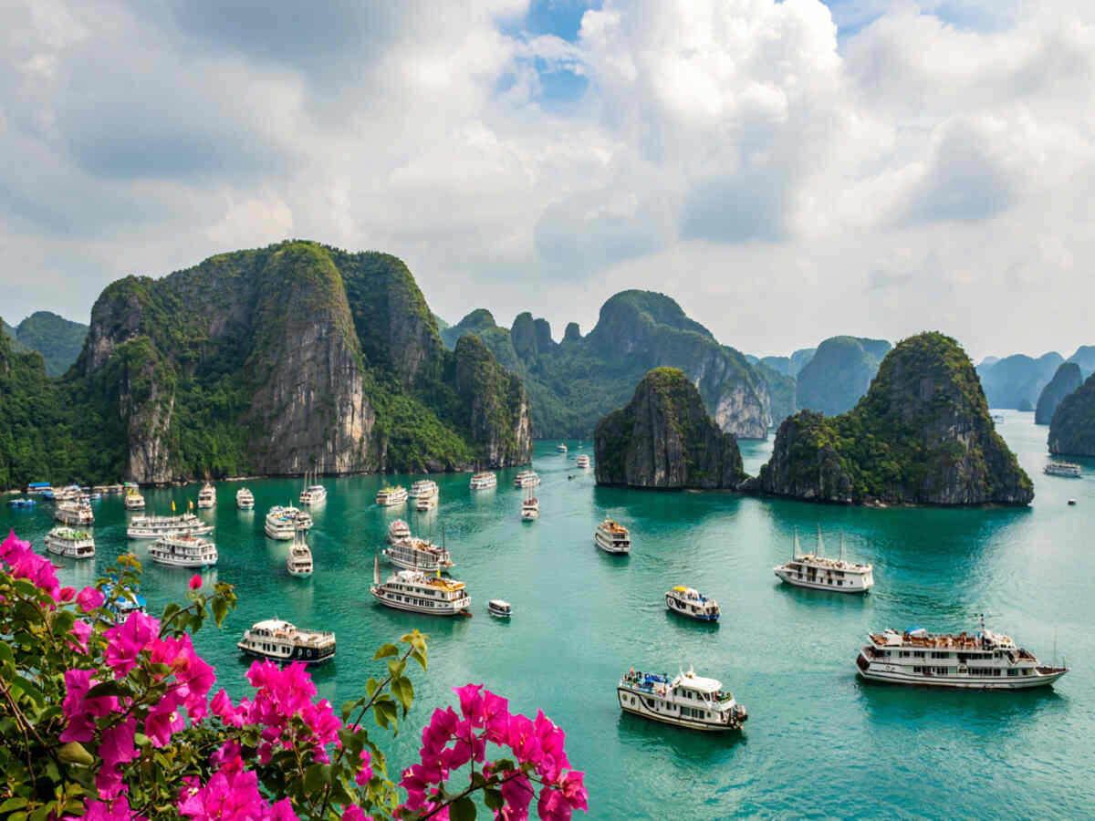 Vietnam Sparks a Tourism Revolution Amid Global Demand and New Travel Policies