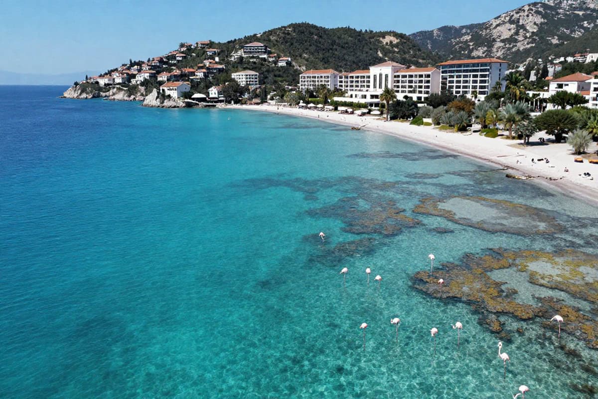 Albania’s Luxury Resort Plan Sparks Nationwide Protests Amid Environmental Concerns