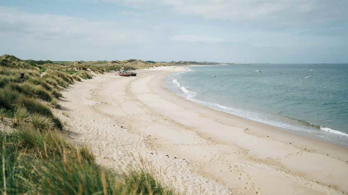 Explore the Magic of Denmark’s Dark Sky Tourism: Møn, Nyord, and Anholt Await Stargazers