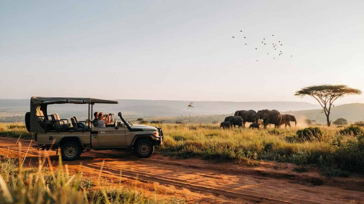 Explore Southern Africa Safely: Malaria Awareness for August Safari Travelers