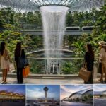 Discover Why Singapore Changi Airport Is the Best Place for Airport Shopping
