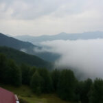 Shimla’s Monsoon Magic: A Travel Paradise Amid Rain Alerts