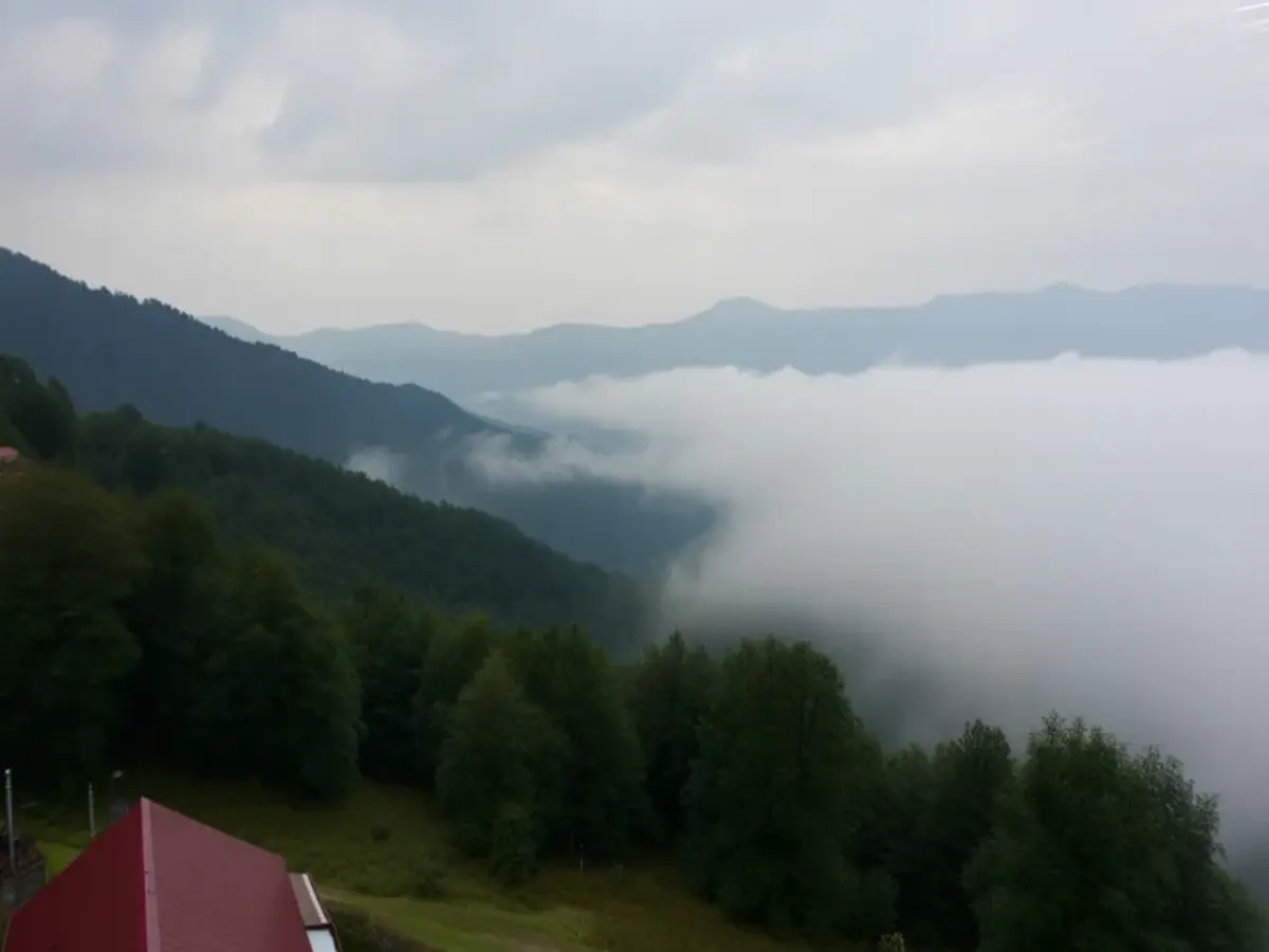 Shimla’s Monsoon Magic: A Travel Paradise Amid Rain Alerts