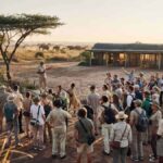 East and Southern Africa’s Safari Season: An Unforgettable Experience Awaits