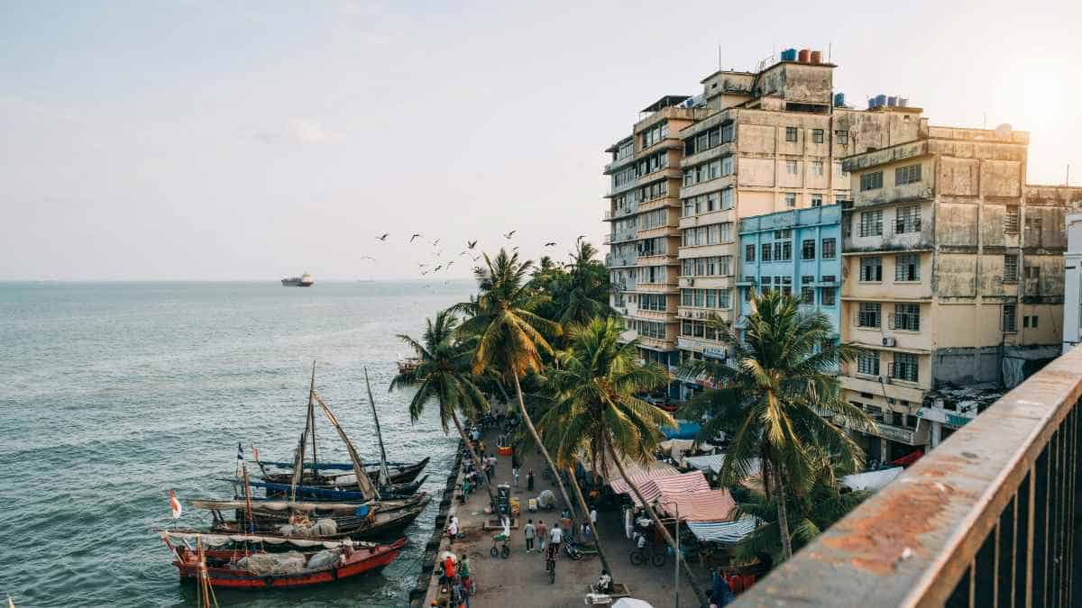 A New Era in Travel: UAE and Tanzania Launch Groundbreaking Tourism Partnership
