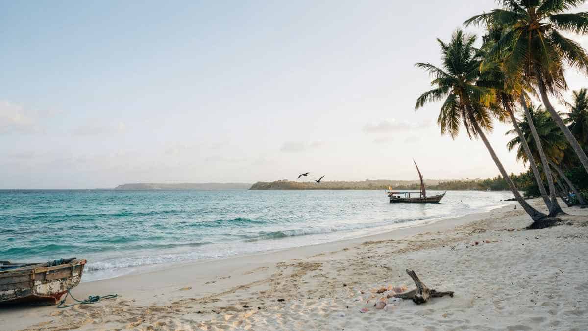 Tanzania’s Tourism Flourishes: A New Era of High-Value Travel Awaits in Africa